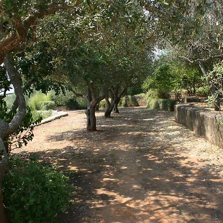 Appartamento In Villa Fortunata Terra Marina Serra Exteriér fotografie