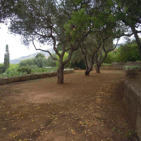 Appartamento In Villa Fortunata Terra Marina Serra Exteriér fotografie