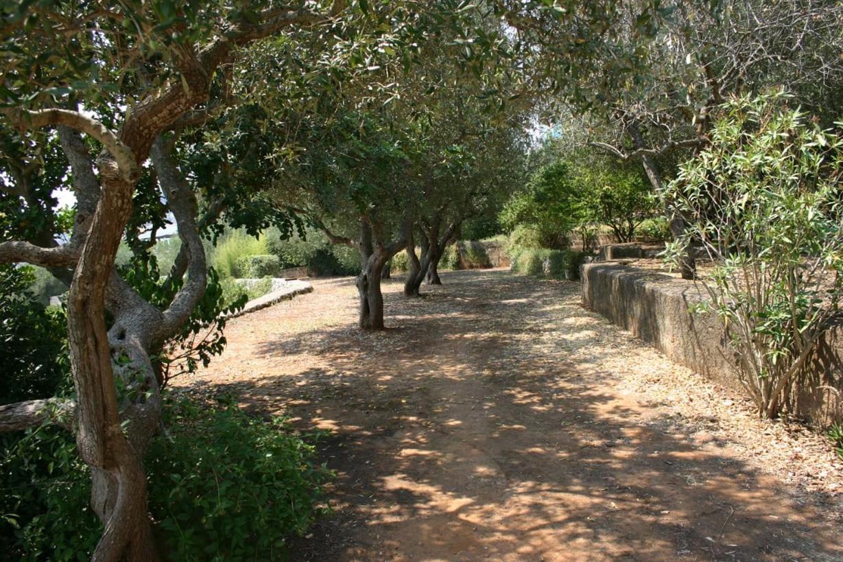 Appartamento In Villa Fortunata Terra Marina Serra Exteriér fotografie